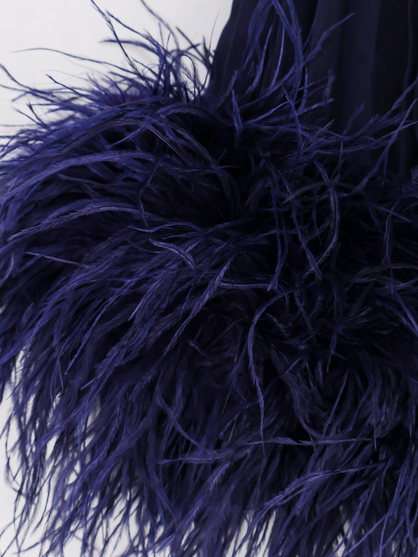Chiffon long dress with ostrich feathers