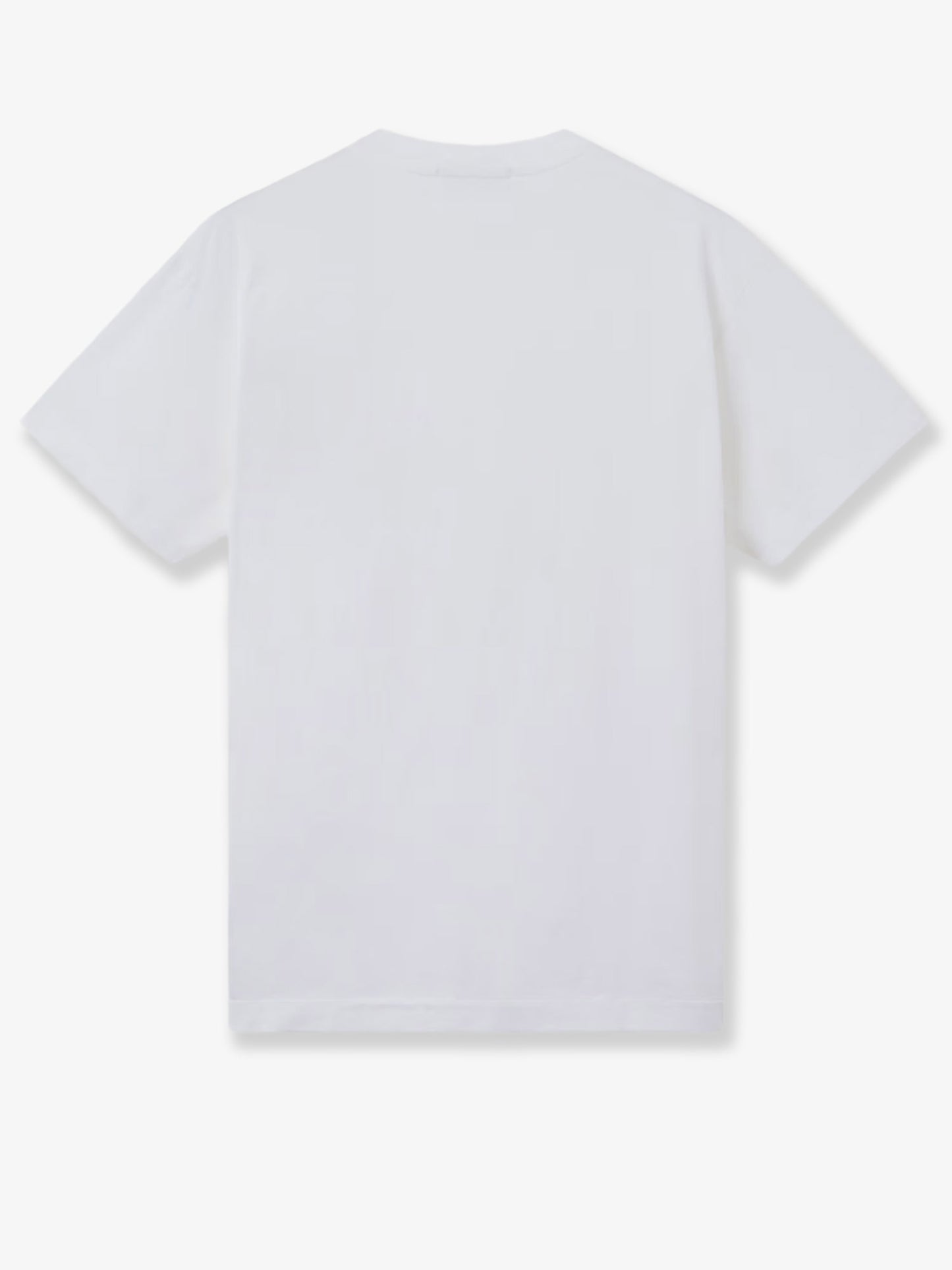 T-shirt in cotone