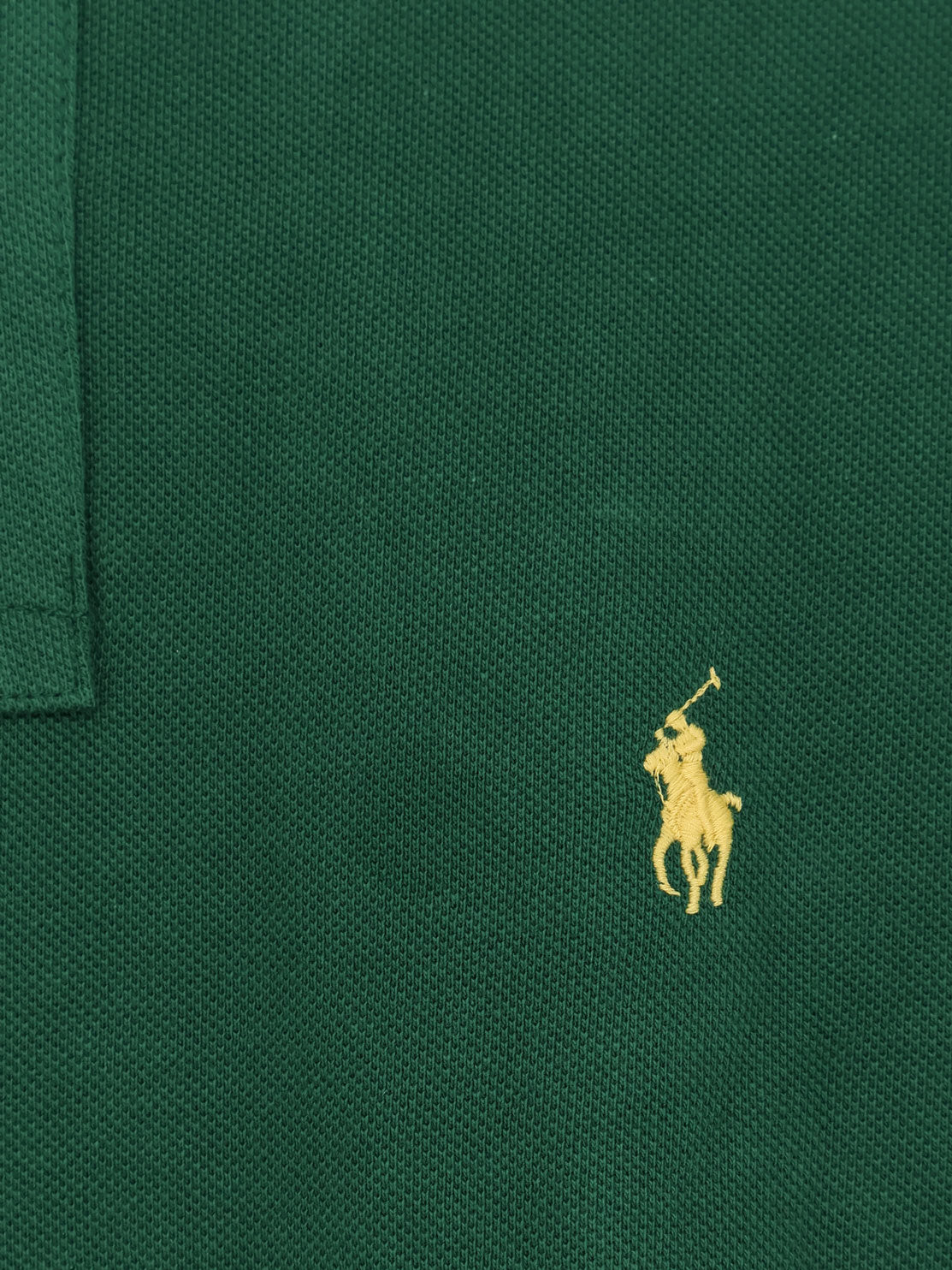 Cotton polo with front logo embroidery