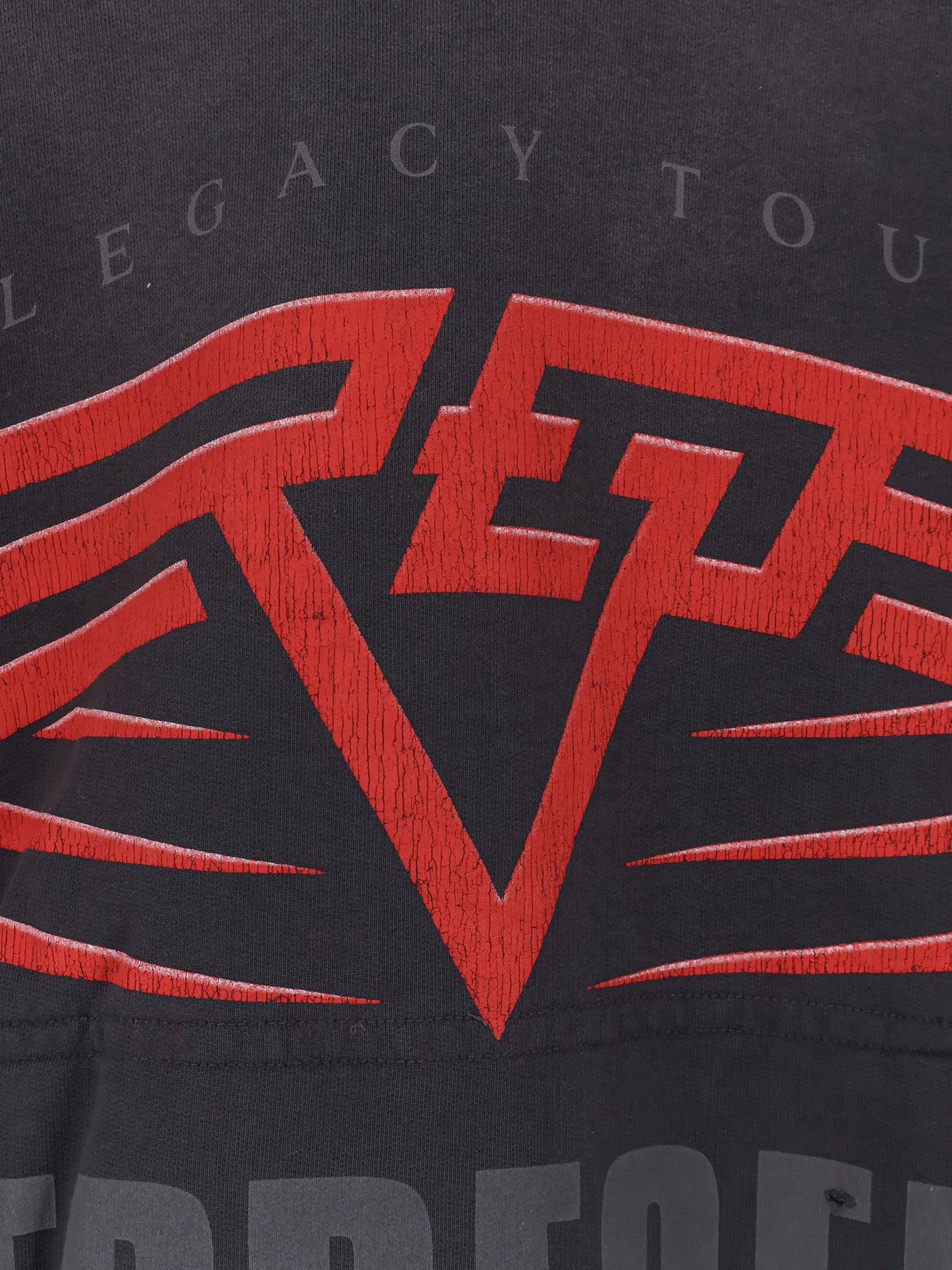 Living Legacy reversible cotton hooded sweatshirt