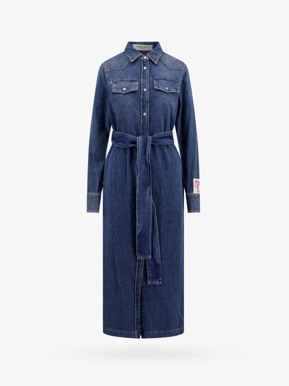 Dana denim chemisier dress thumbnail