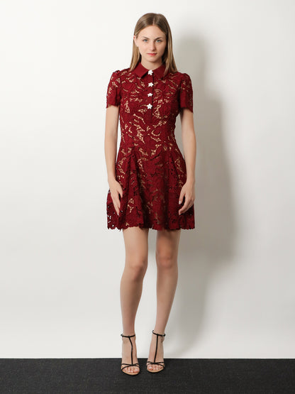 Lace Mini Dress thumbnail